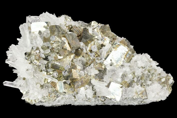 Gleaming Cubic Pyrite & Quartz Crystal Association - Peru #126612